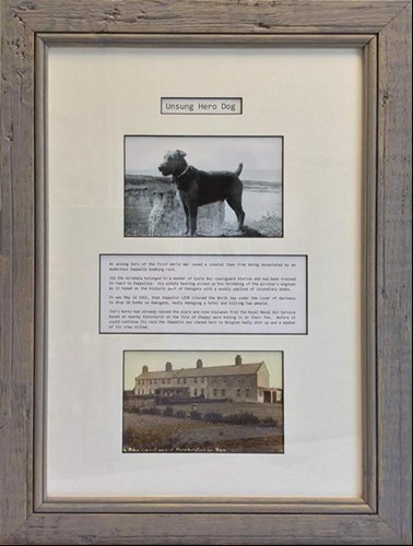 Driftwood frame moulding
