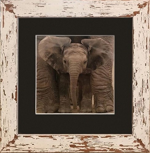Havana picture frame moulding