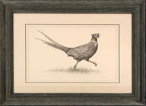 Well Hung Framing
