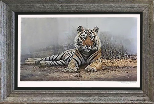 L2519 Corinium Picture Framing