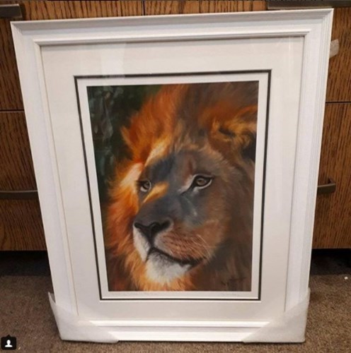 L1667 Utrecht White Contactus Framing