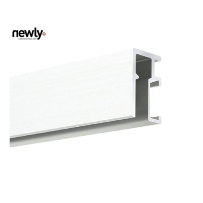 R10 Newly Hanging Rail 20 kg/m