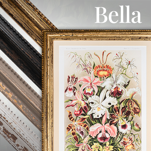 LION Picture Framing Supplies